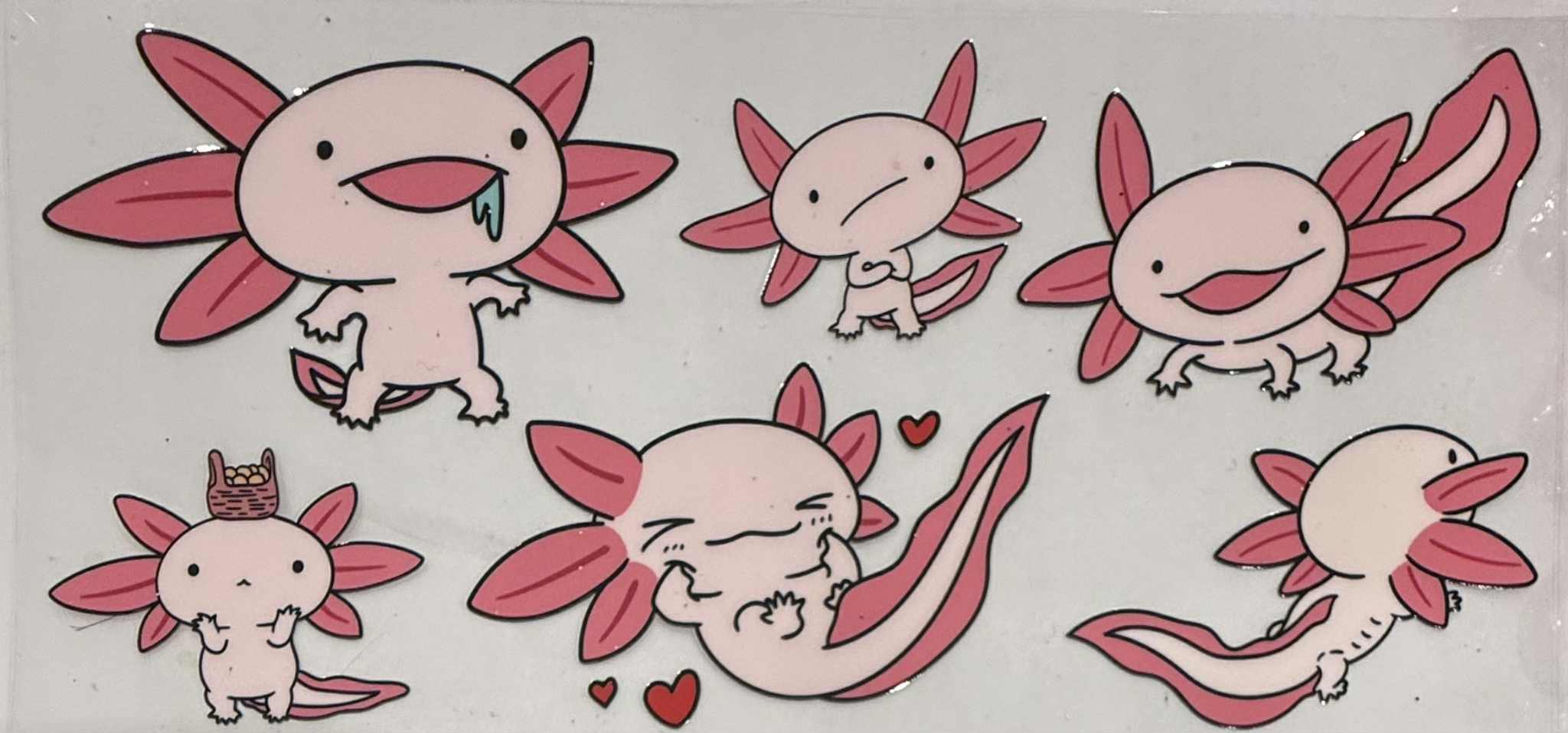 16oz UV DTF Wrap Animals 048