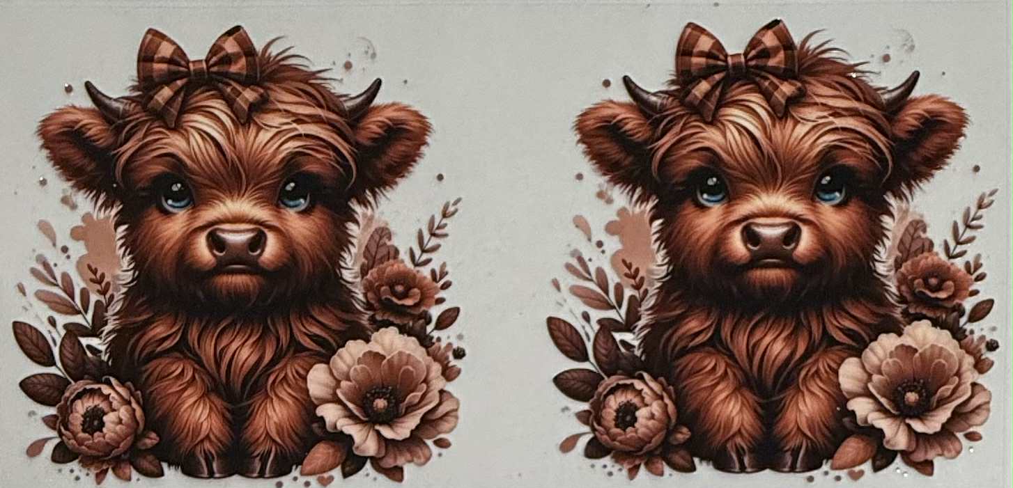 16oz UV DTF Wrap Highland 010